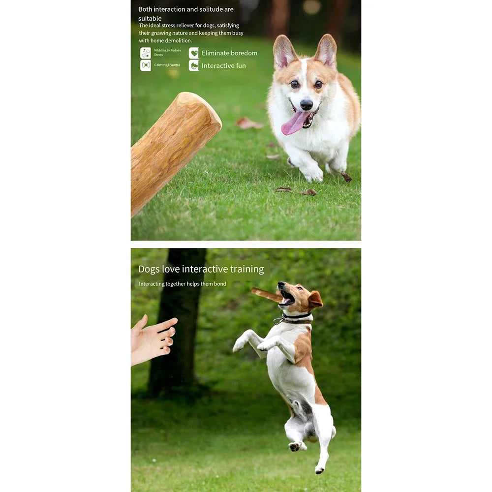 Wooden dog chew toy