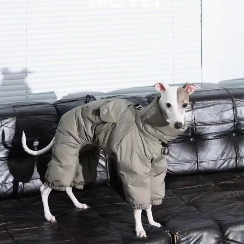 Windproof winter coat