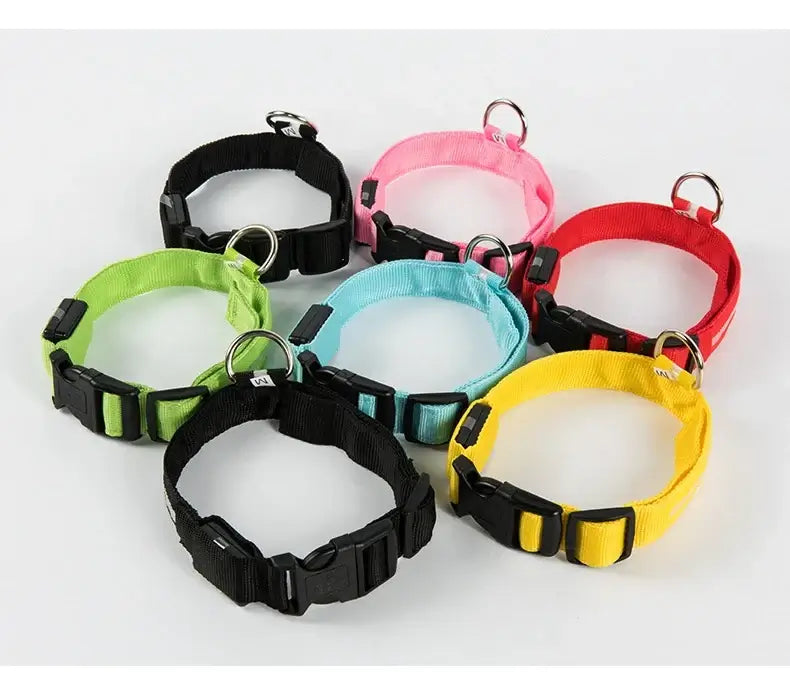 LED Dog Leash