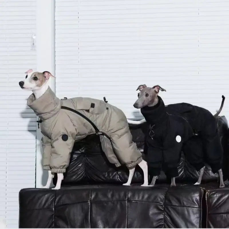 Windproof winter coat