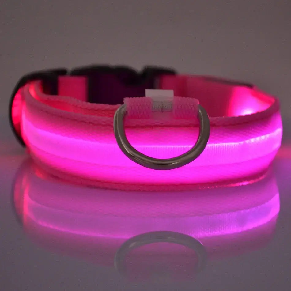 LED Dog Leash