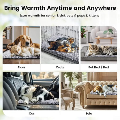 Winter warm pet pad blanket