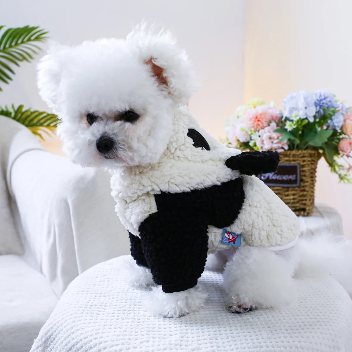 Panda hat jacket