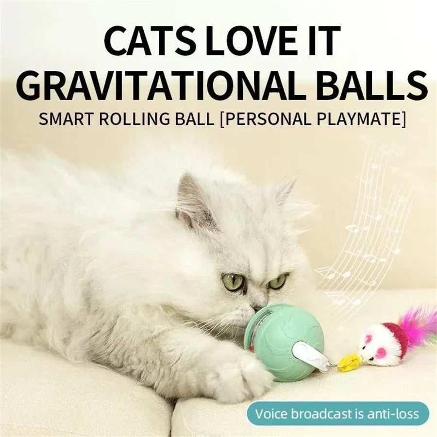 Intelligent toy ball