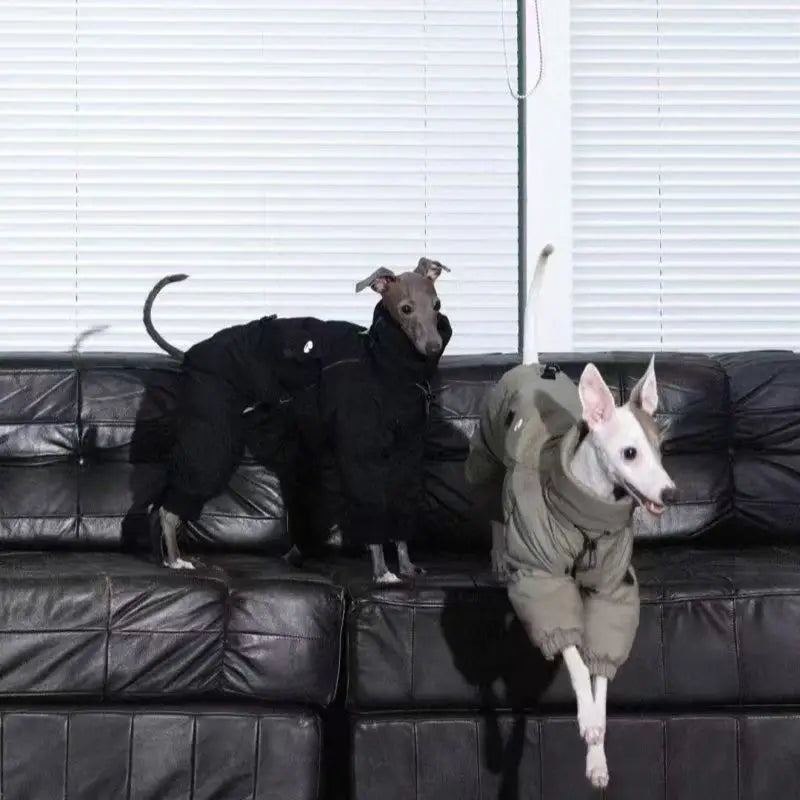 Windproof winter coat