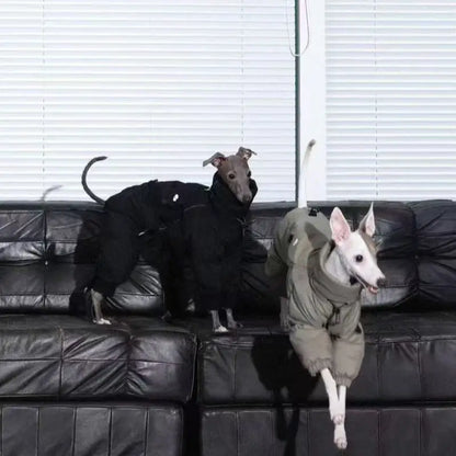Windproof winter coat