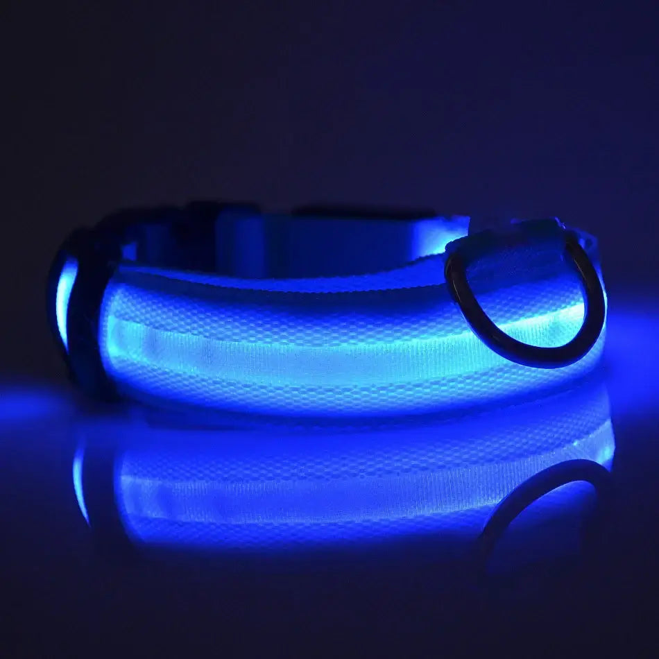 LED Dog Leash