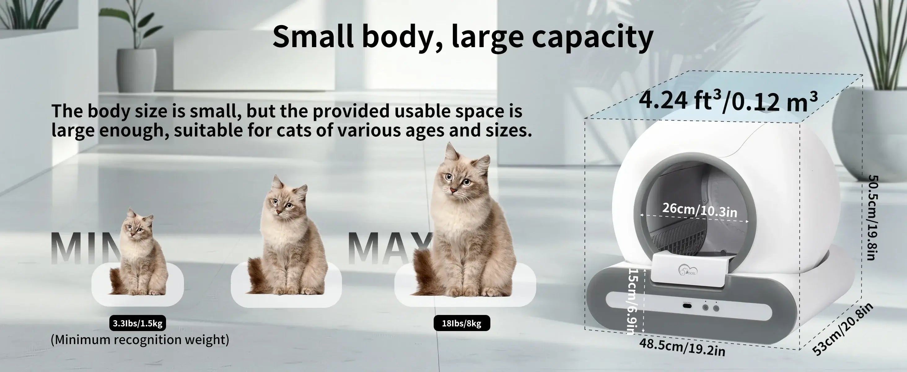 Cat Litter Box