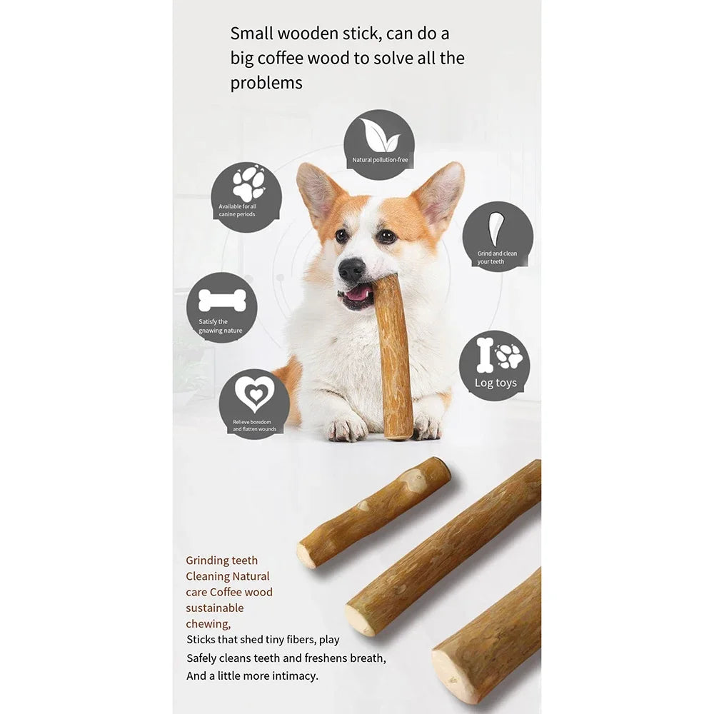 Wooden dog chew toy