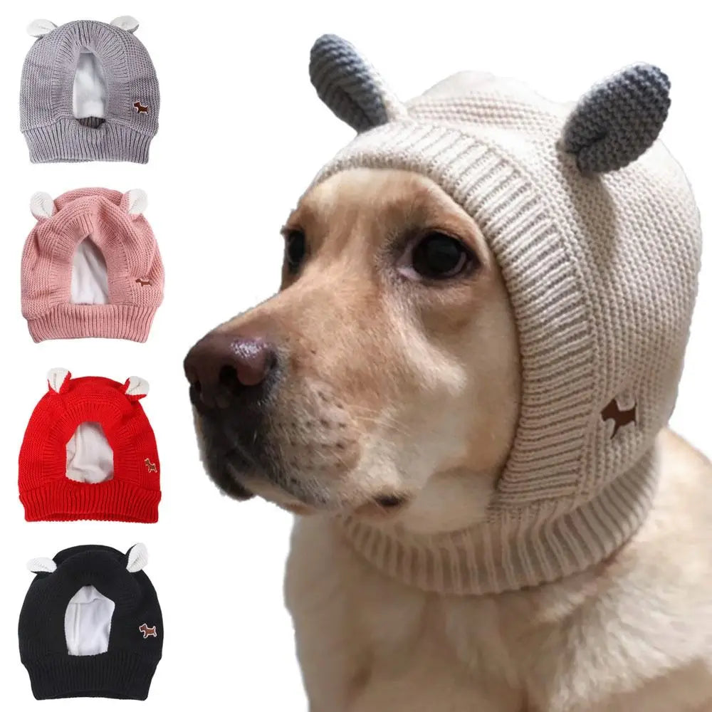 Dog ear noise protection hat