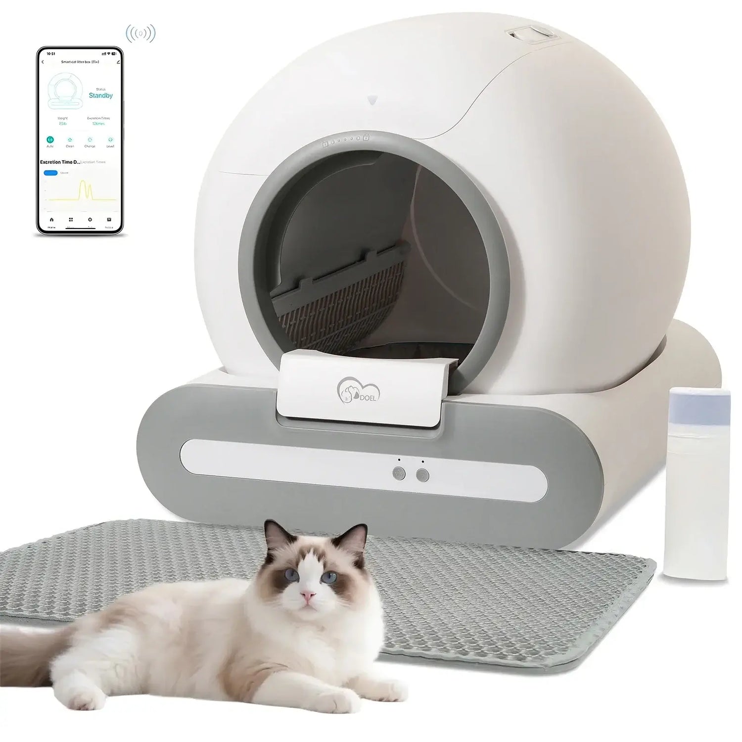 Cat Litter Box