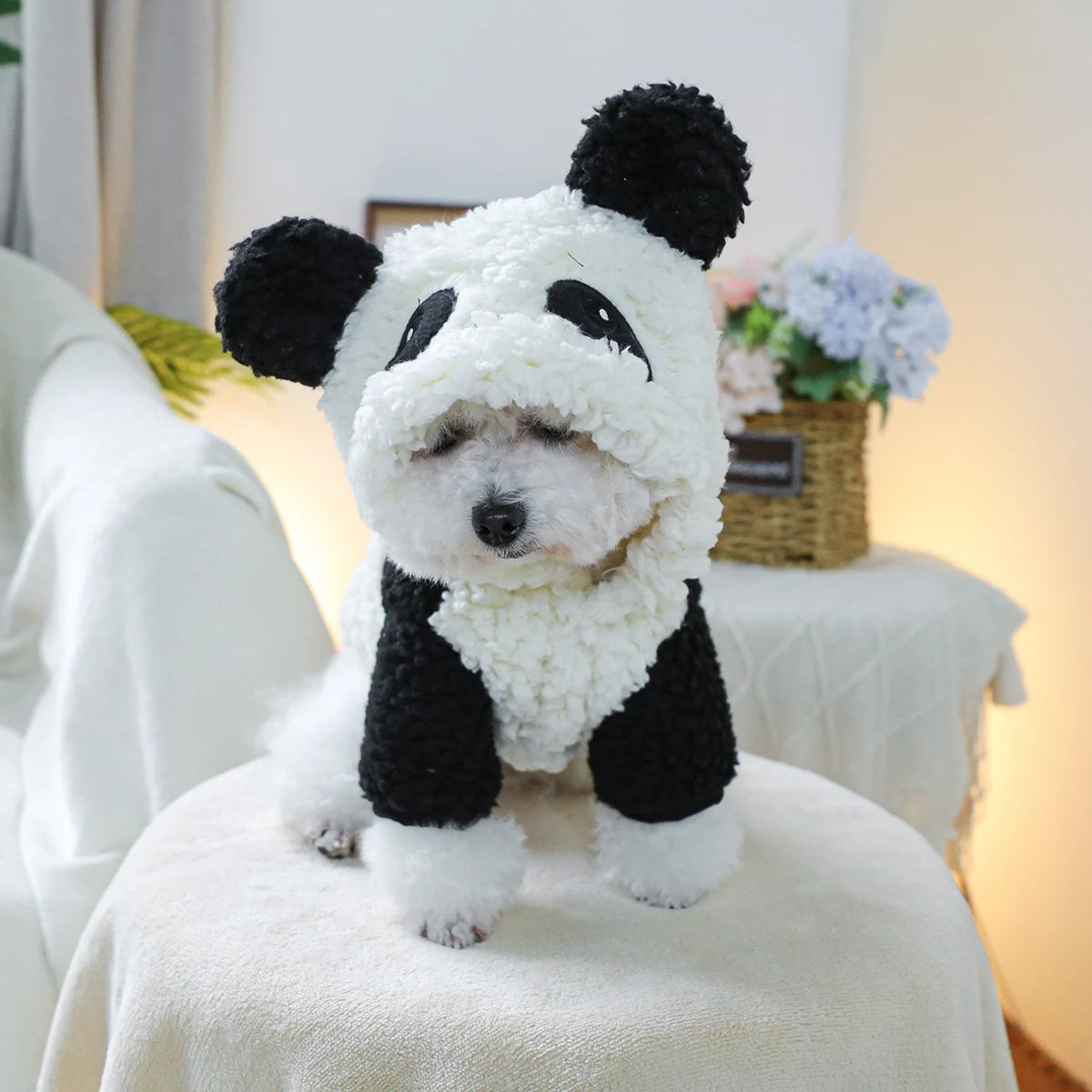 Panda hat jacket