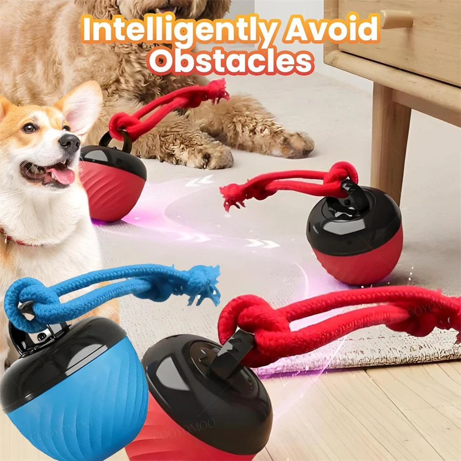 Intelligent toy ball