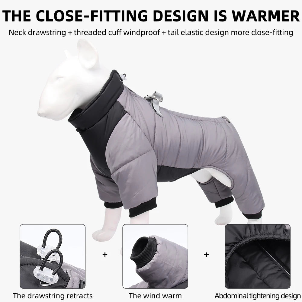 Dog winter coat