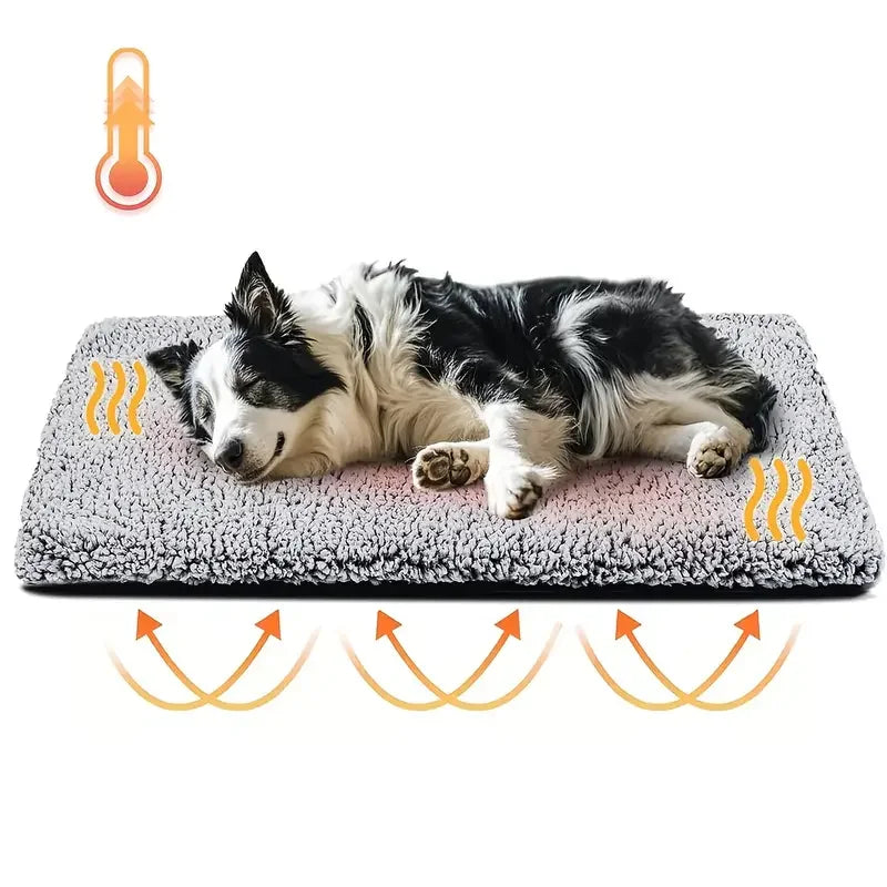 Winter warm pet pad blanket