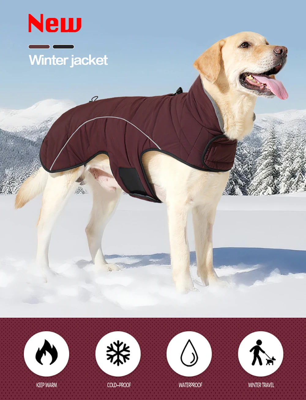 Waterproof jacket