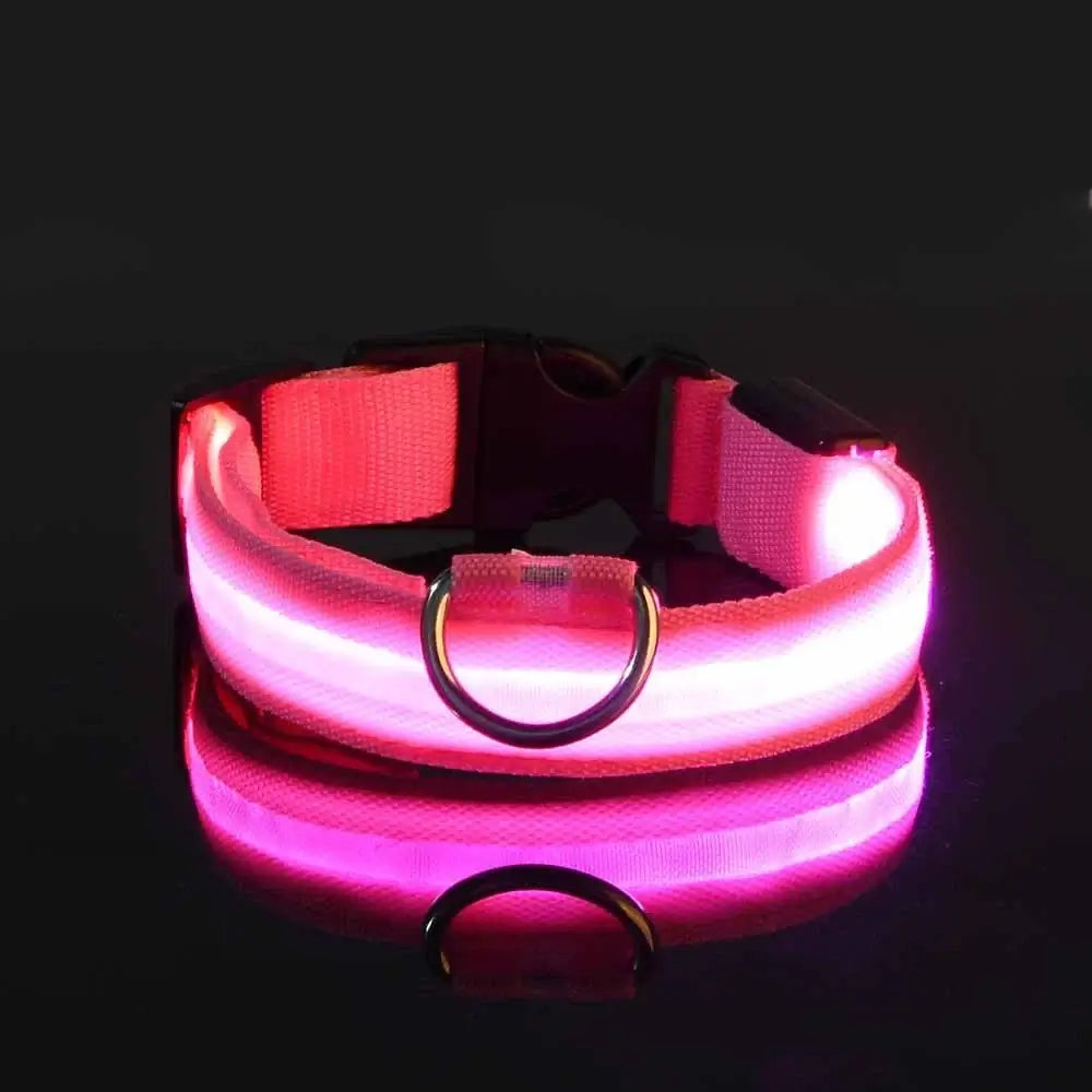 LED Dog Leash