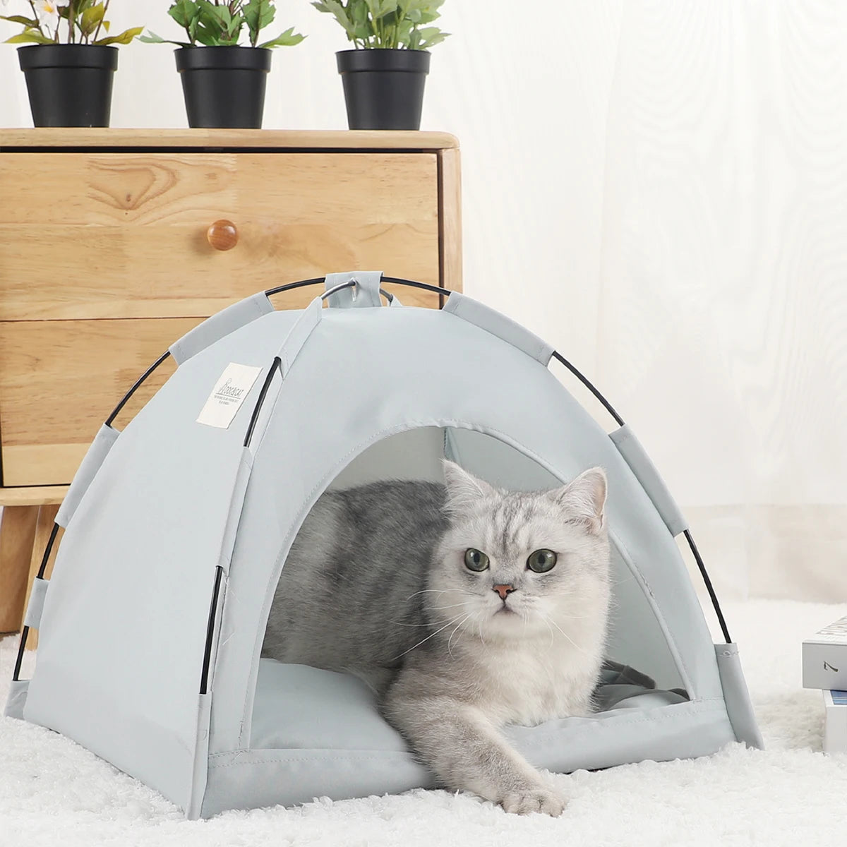 Tent bed
