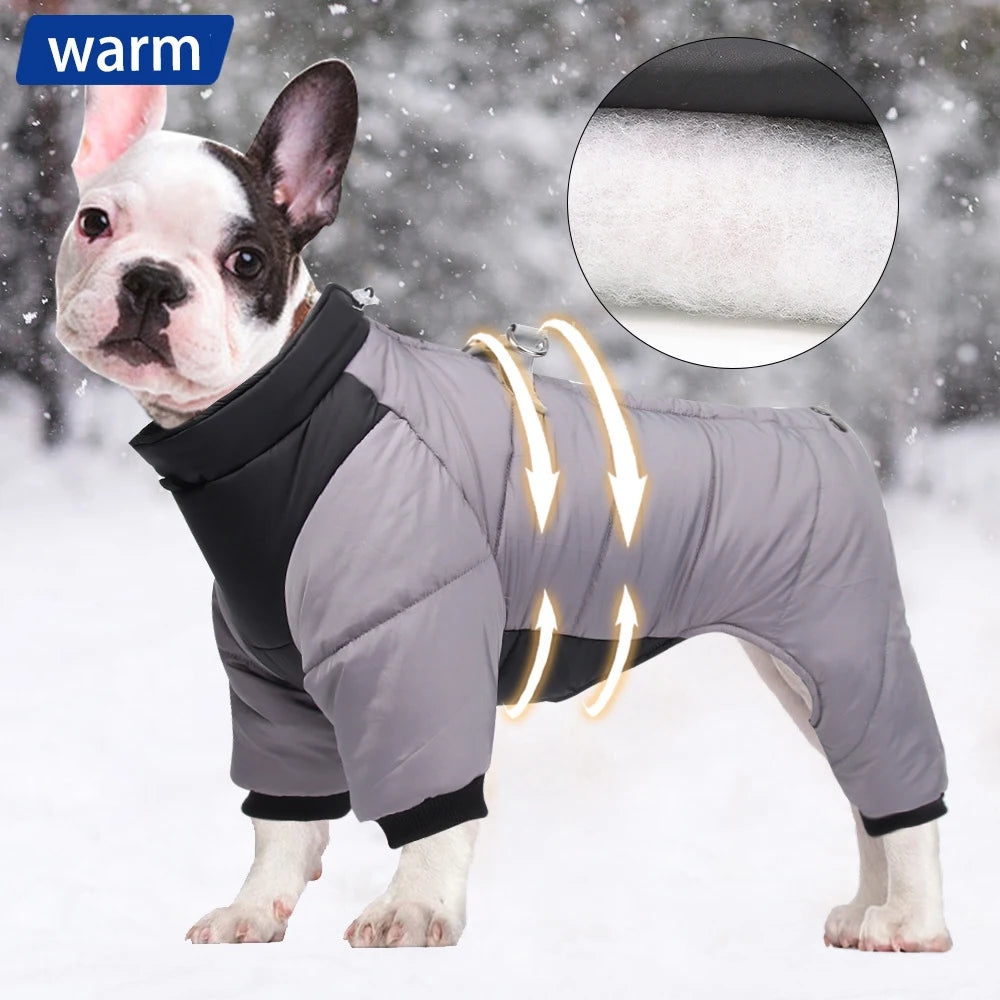 Dog winter coat