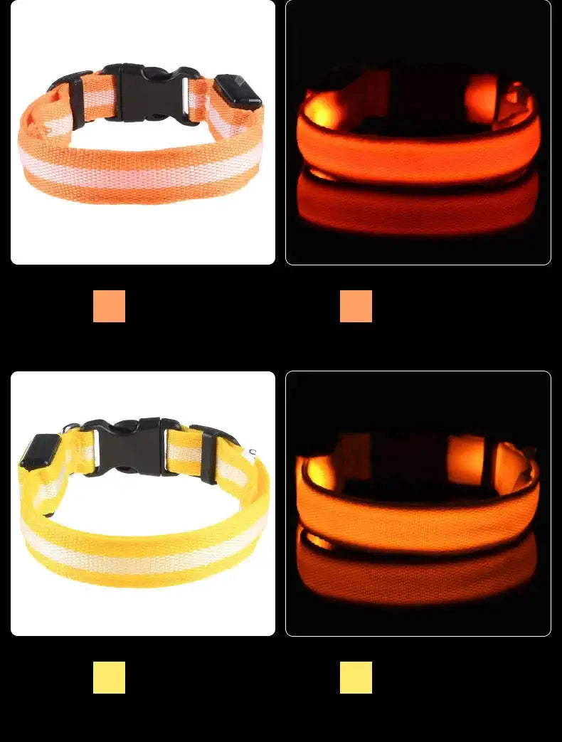 LED Dog Leash