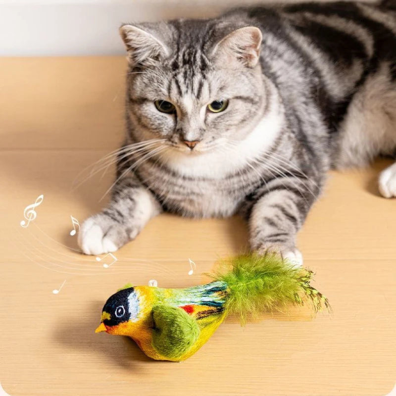 Bird toy for cat
