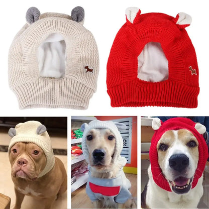 Dog ear noise protection hat