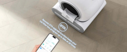 Cat Litter Box