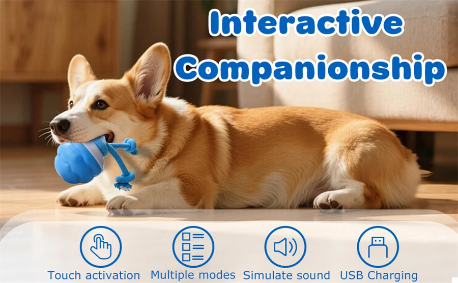 Intelligent toy ball