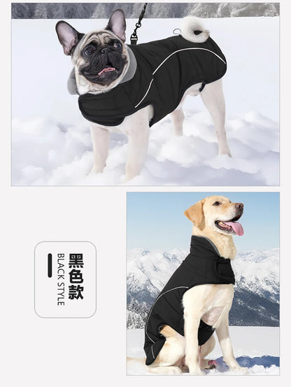 Waterproof jacket