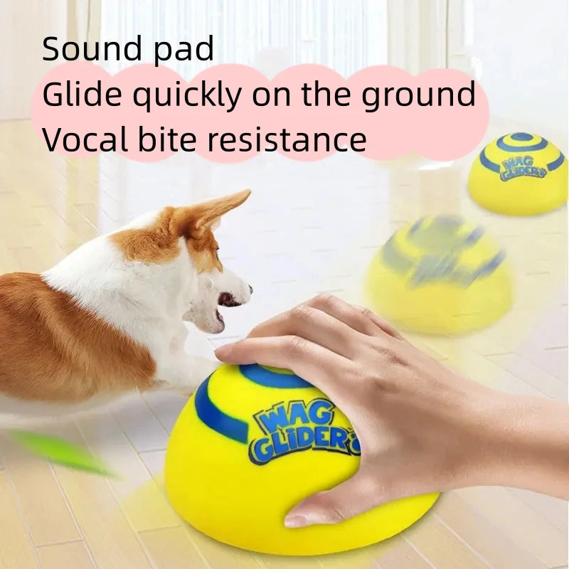 Wag glider for dogs