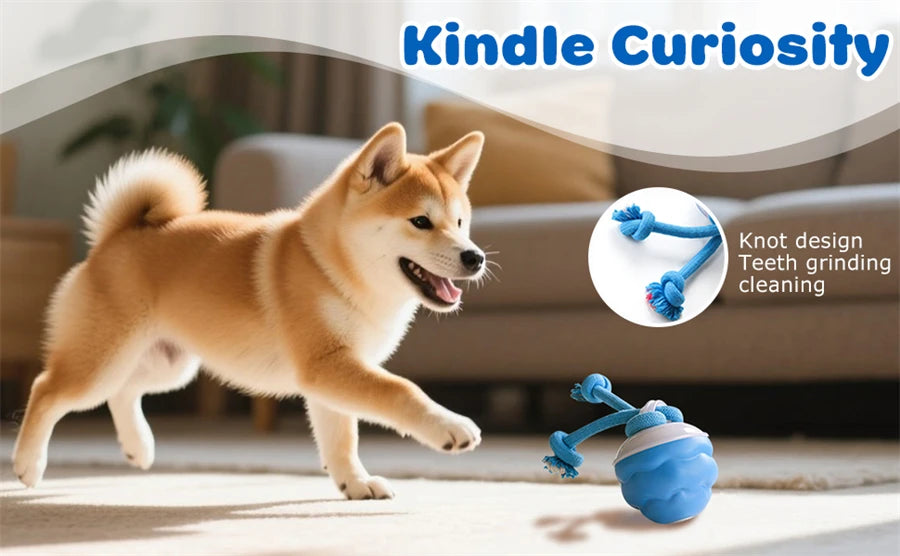 Intelligent toy ball