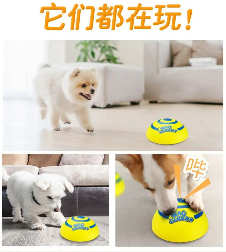 Wag glider for dogs
