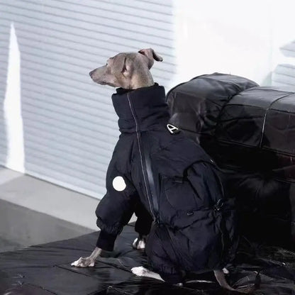 Windproof winter coat