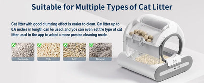 Cat Litter Box
