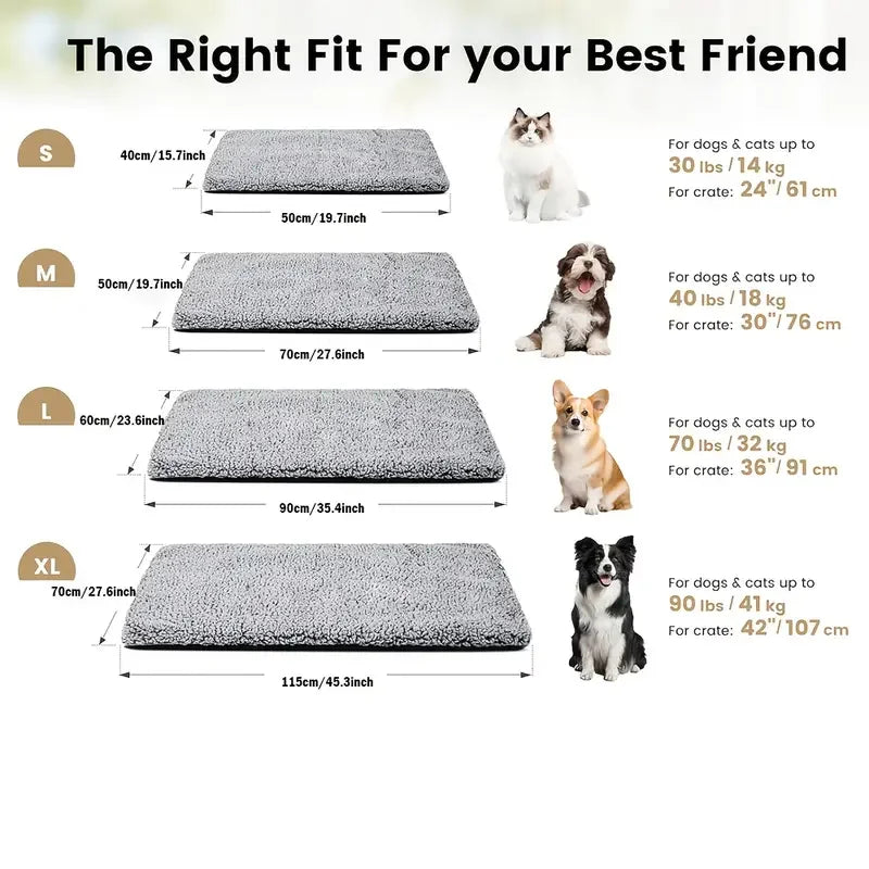 Winter warm pet pad blanket