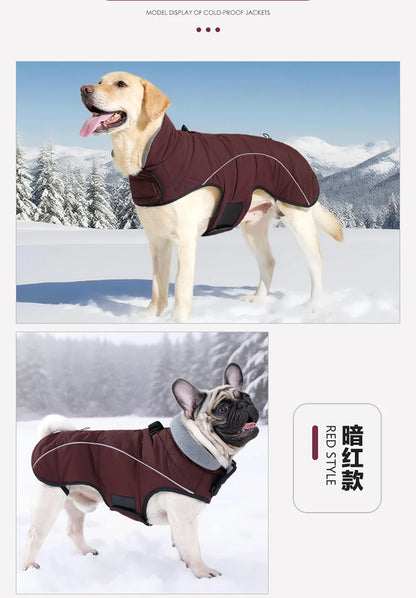 Waterproof jacket