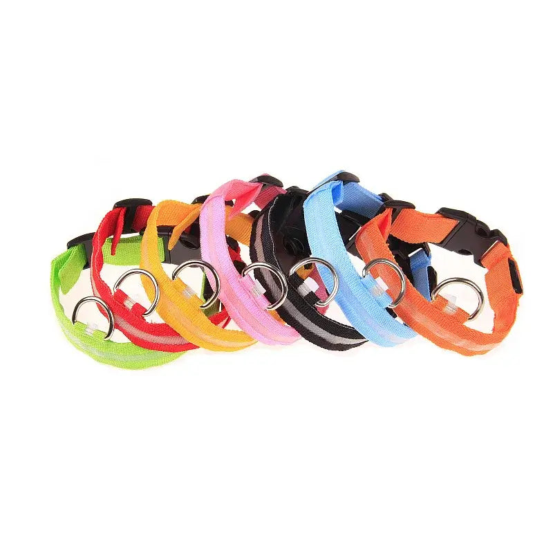 LED Dog Leash