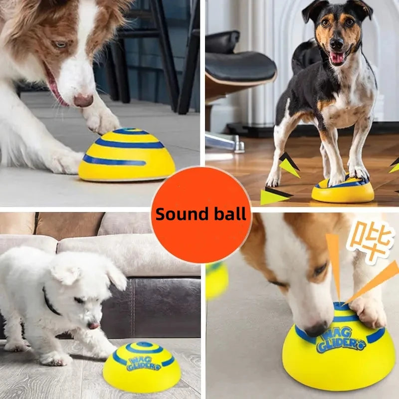 Wag glider for dogs