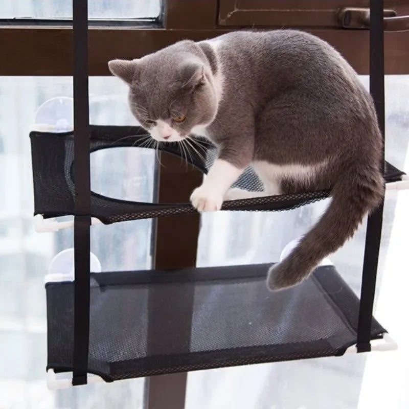 Cat hammock bed