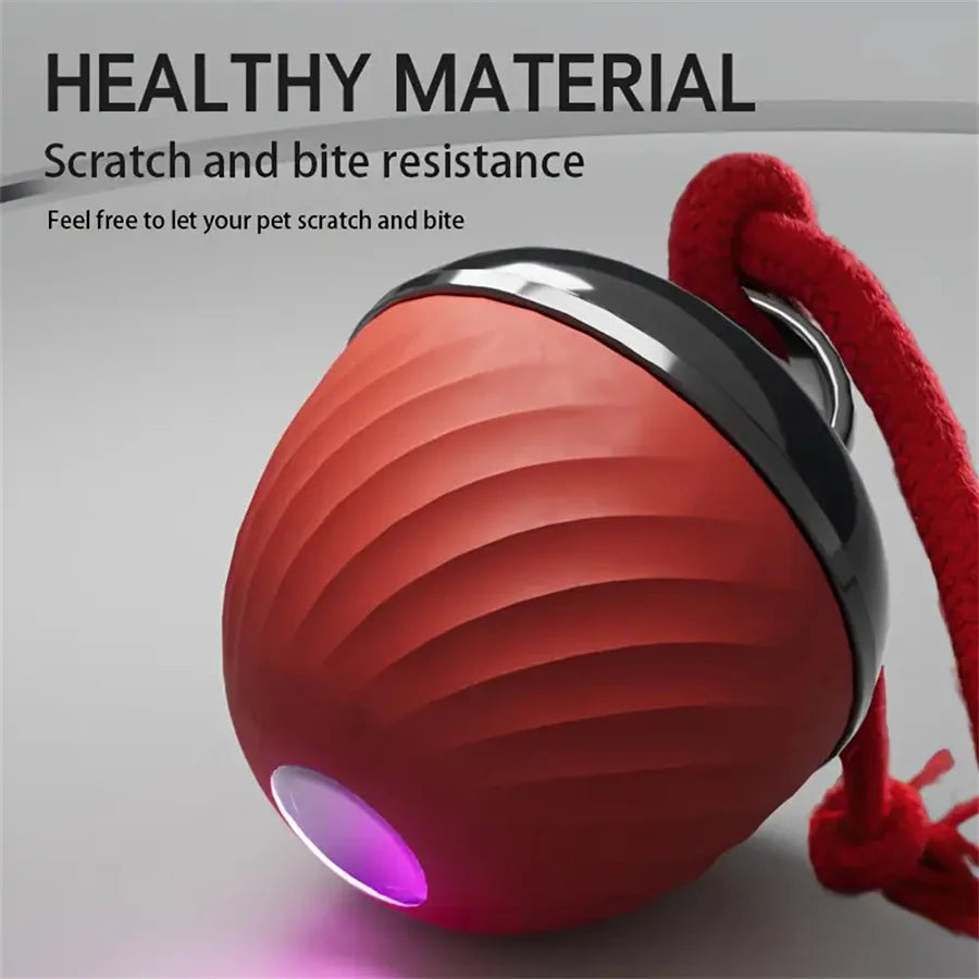 Intelligent toy ball