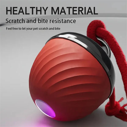 Intelligent toy ball