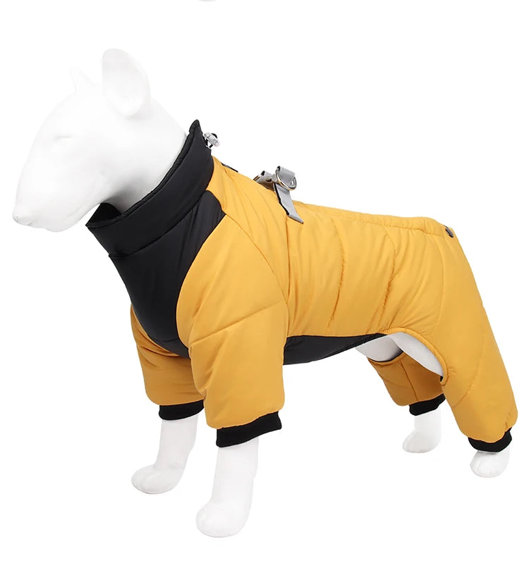 Dog winter coat