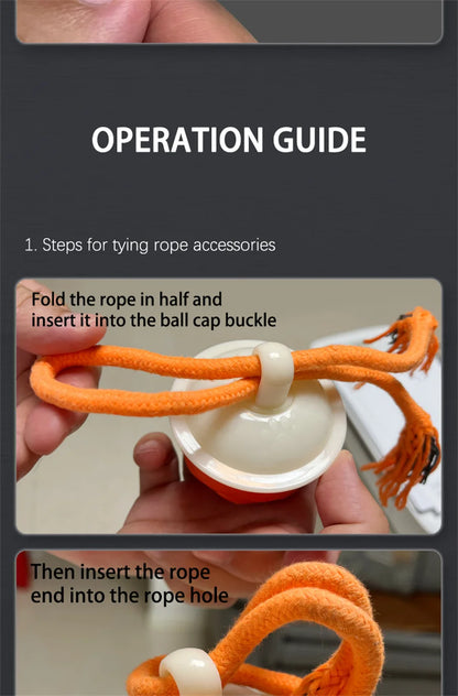 Intelligent toy ball