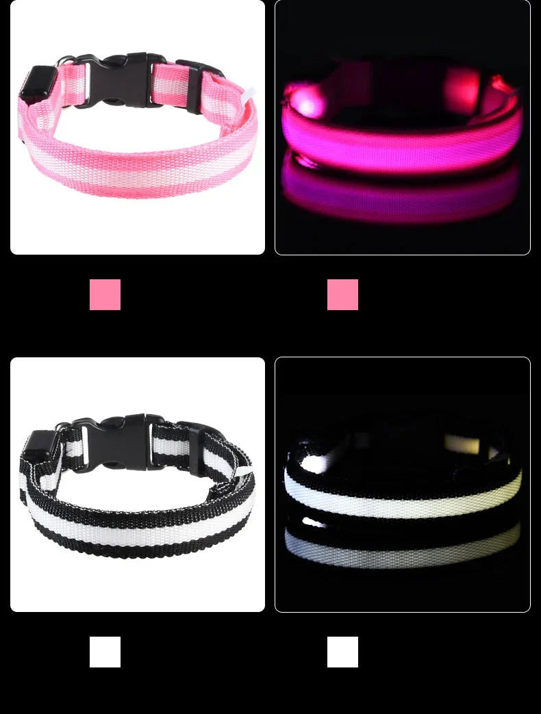 LED Dog Leash