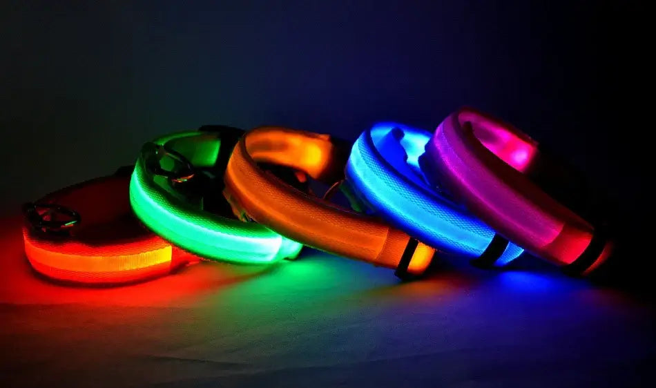LED Dog Leash