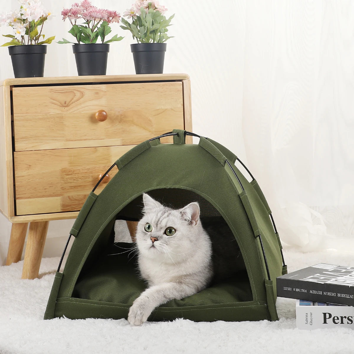Tent bed