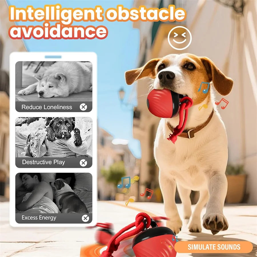 Intelligent toy ball