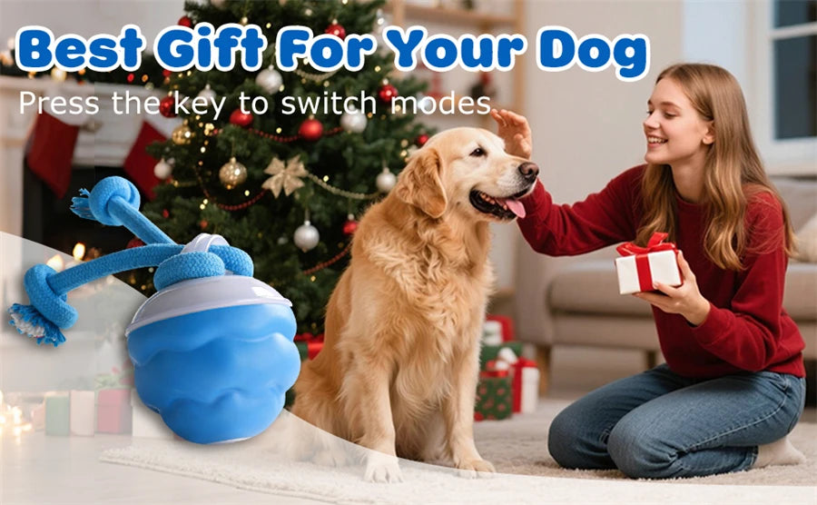 Intelligent toy ball