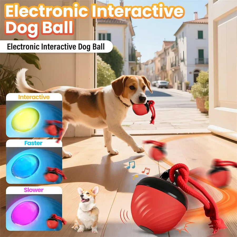 Intelligent toy ball