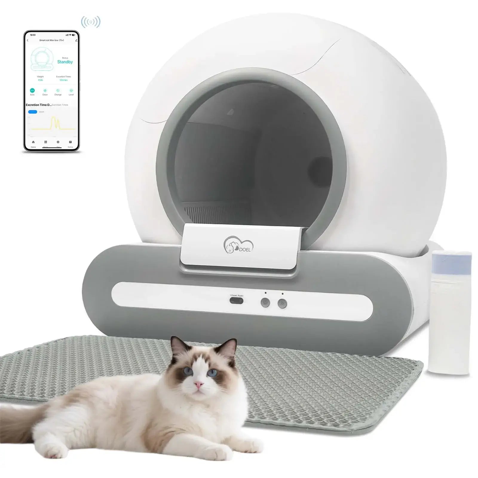 Cat Litter Box
